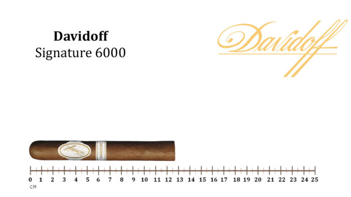 DAVIDOFF - Signature 6000